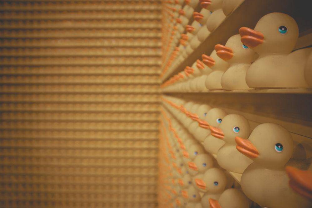 ilustrasi koleksi bebek karet (unsplash.com/designecologist)