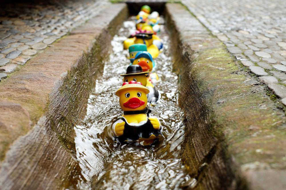 ilustrasi kompetisi balap bebek karetkompetisi balap bebek karet (pixabay.com/couleur)