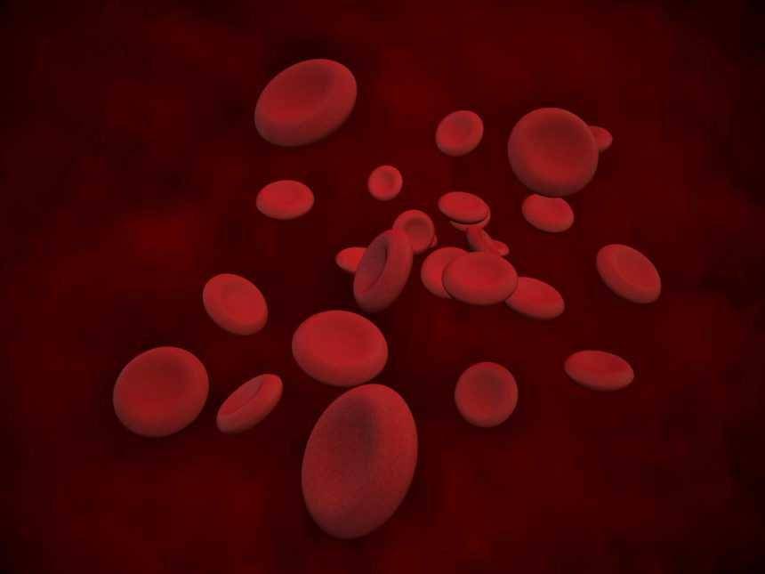 ilustrasi sel darah merah (hematologyadvisor.com)