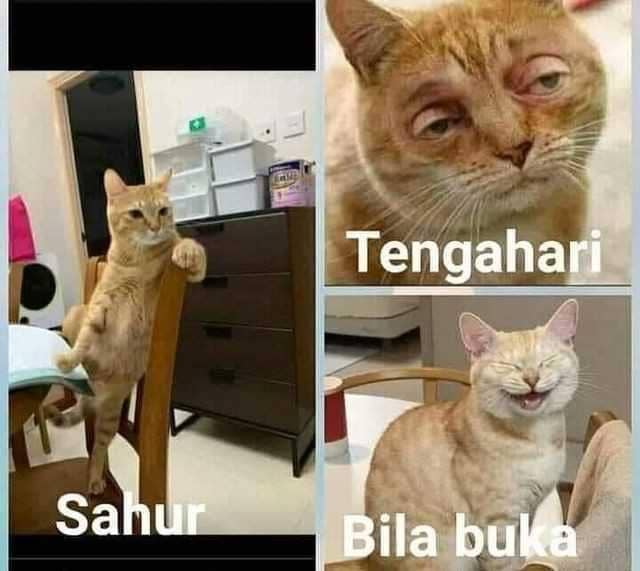 meme sambut bulan Ramadhan (twitter.com/ayintwt)