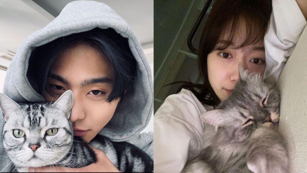 10 Adu Gaya Artis Korea Bareng Kucing Peliharaannya, Gemes Pol!