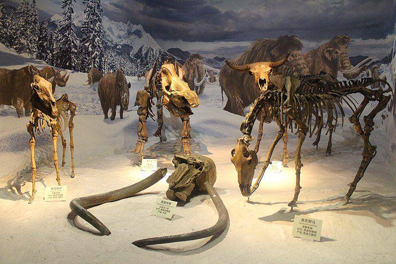 diorama dari Zaman Es yang terletak di Museum Sejarah Tianjin (commons.wikimedia.org/Jonathan Chen)