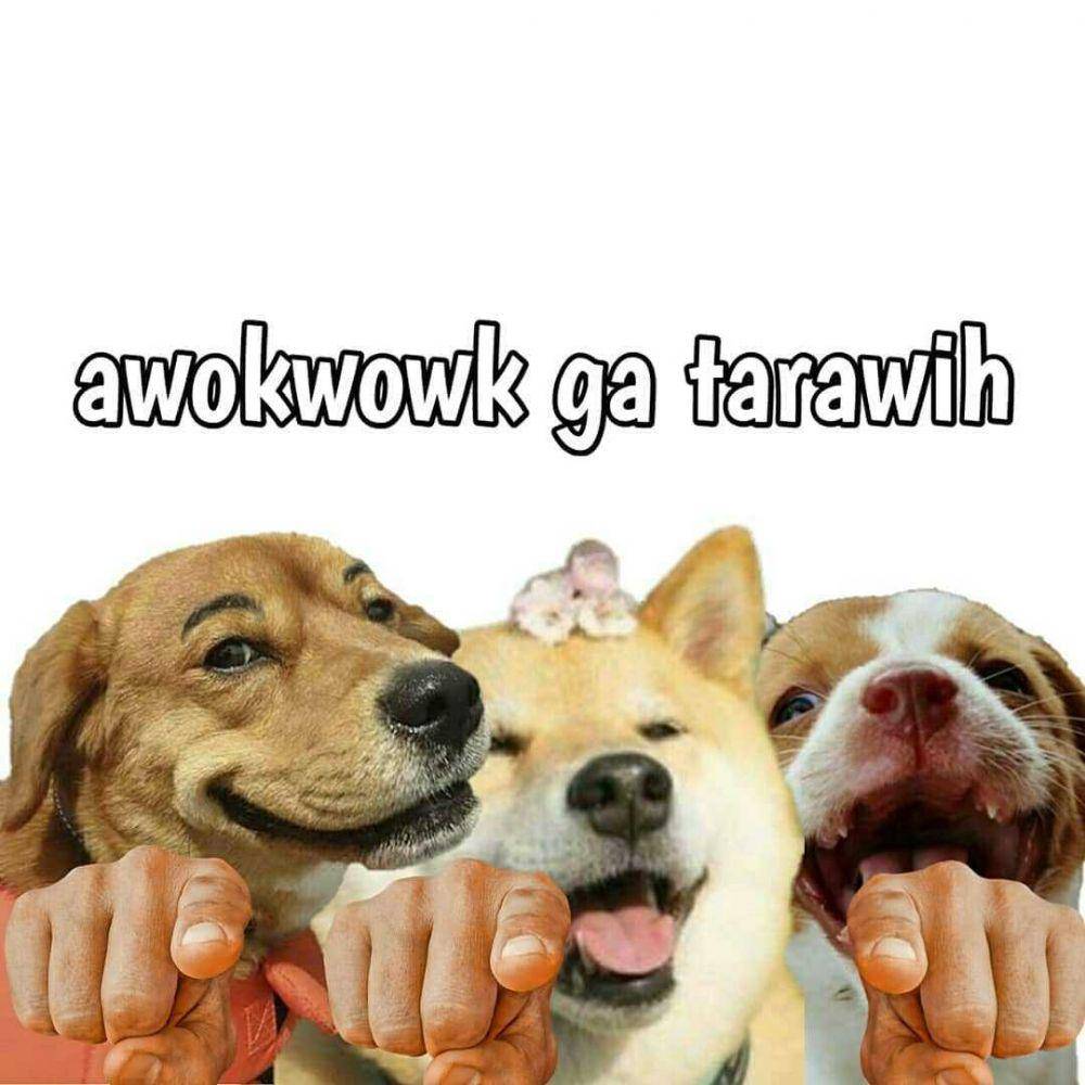 meme tarawih (instagram.com/meme.amsyik)