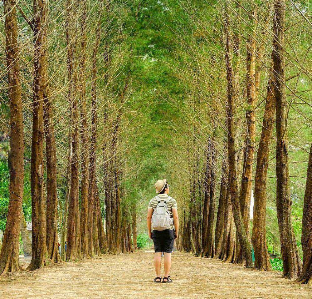 Bangka Botanical Garden (Instagram.com/explorebangka?