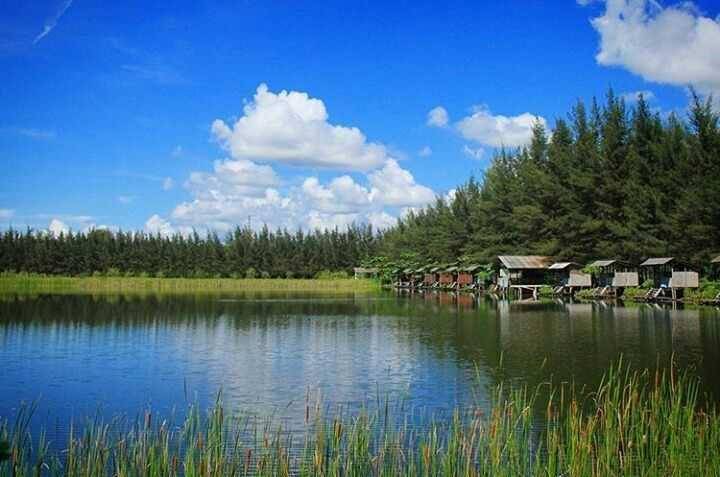 Bangka Botanical Garden (instagram.com/babeltravellers.co)