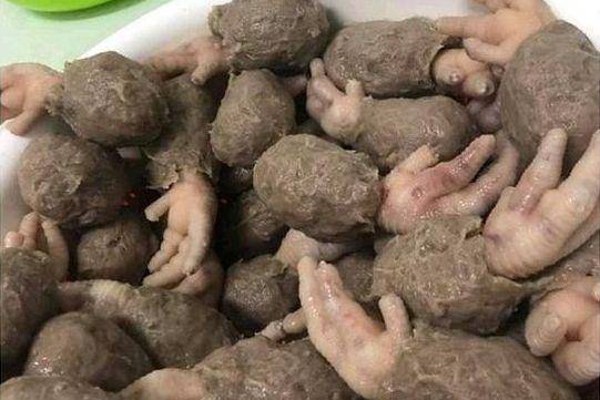 bakso nyeleneh (twitter.com/fbreceh)