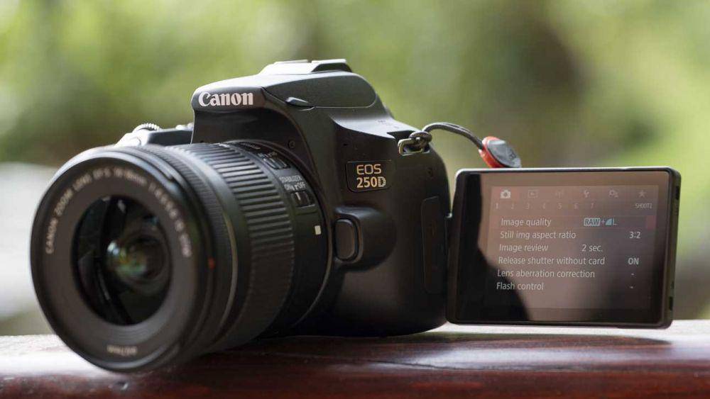 potret Canon EOS Rebel SL3 / 250D (camerajabber.com)
