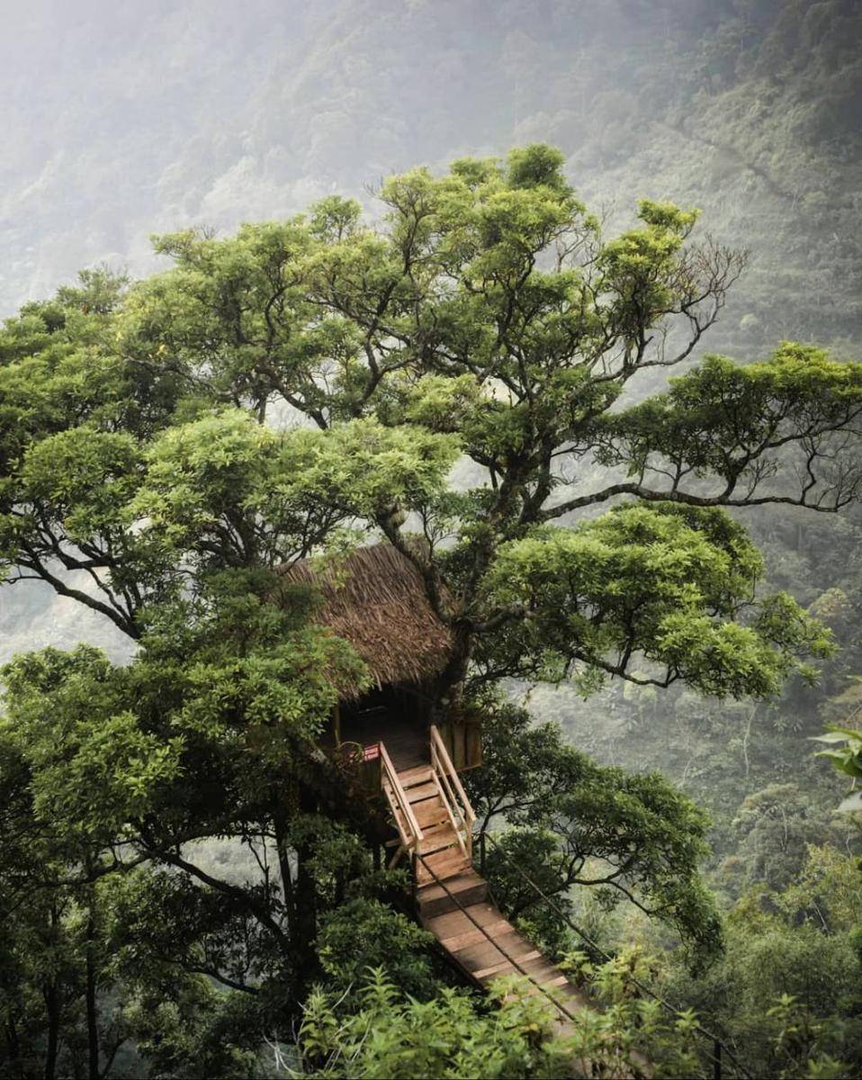 Bukit Pejagan (instagram.com/arlindhaa_)