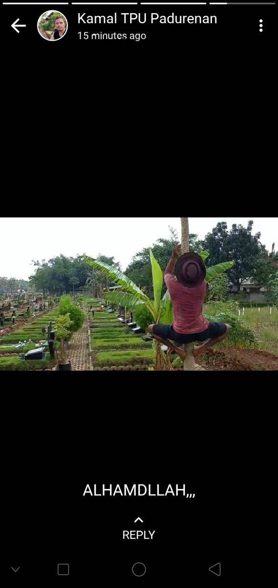 status WhatsApp penjaga makam (twitter.com/dnlwkrt)