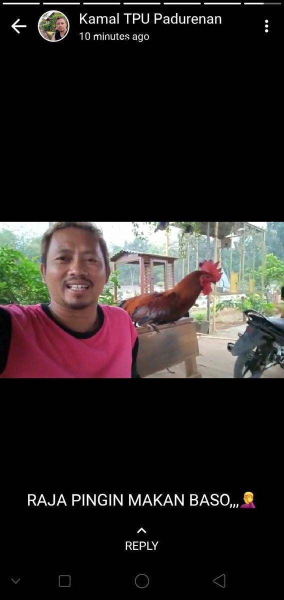 status WhatsApp penjaga makam (twitter.com/dnlwkrt)