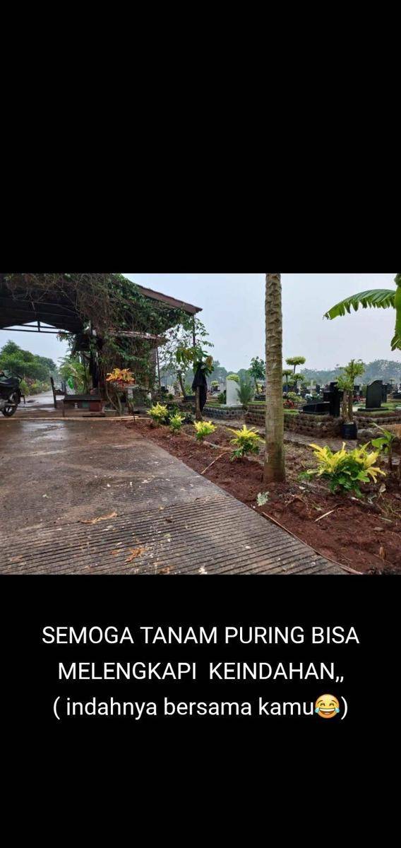 status WhatsApp penjaga makam (twitter.com/dnlwkrt)