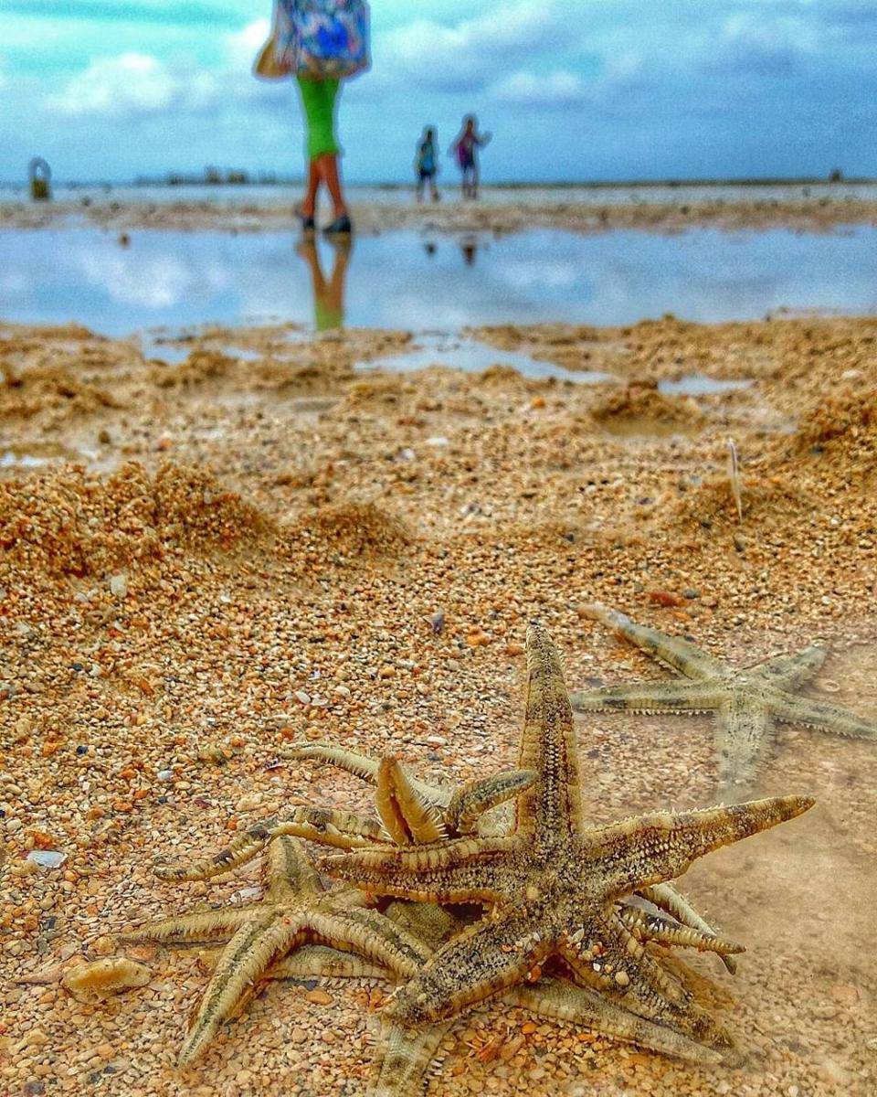 potret Pantai Toronipa (instagram.com/arham_kendari)