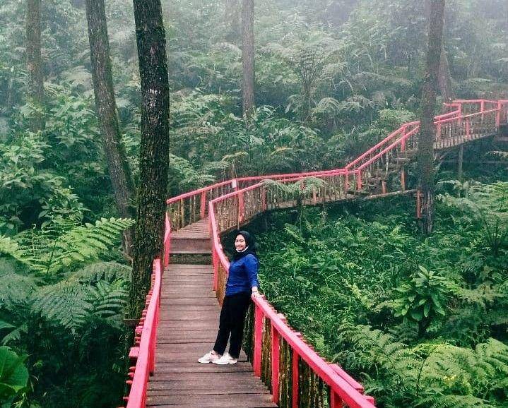Bukit Cianten (instagram.com/pika_wlndri03)