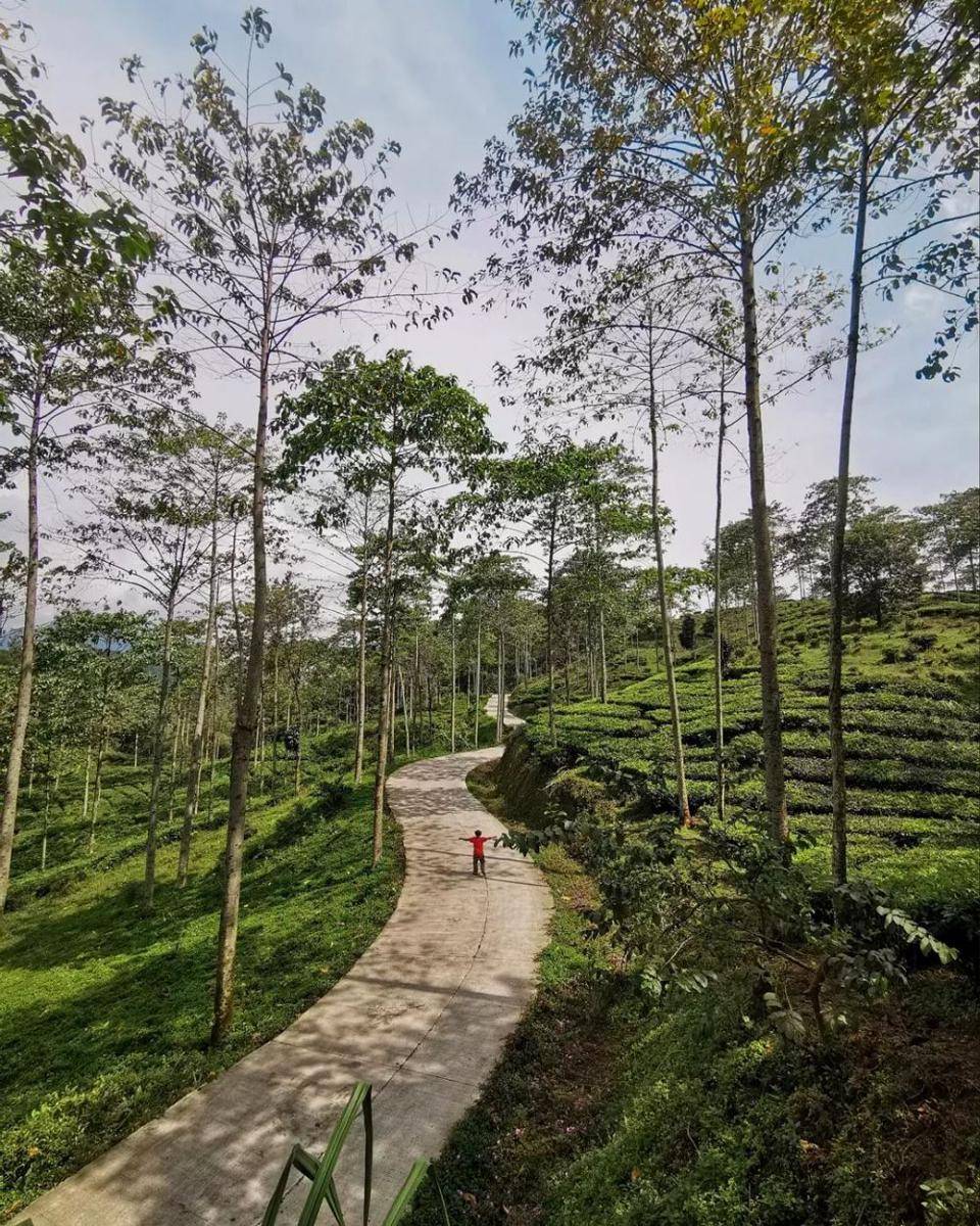 Bukit Cianten (instagram.com/sanusi_uchiha)