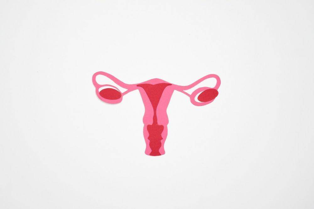 ilustrasi sistem reproduksi perempuan (pexels.com/Nadezhda Moryak)