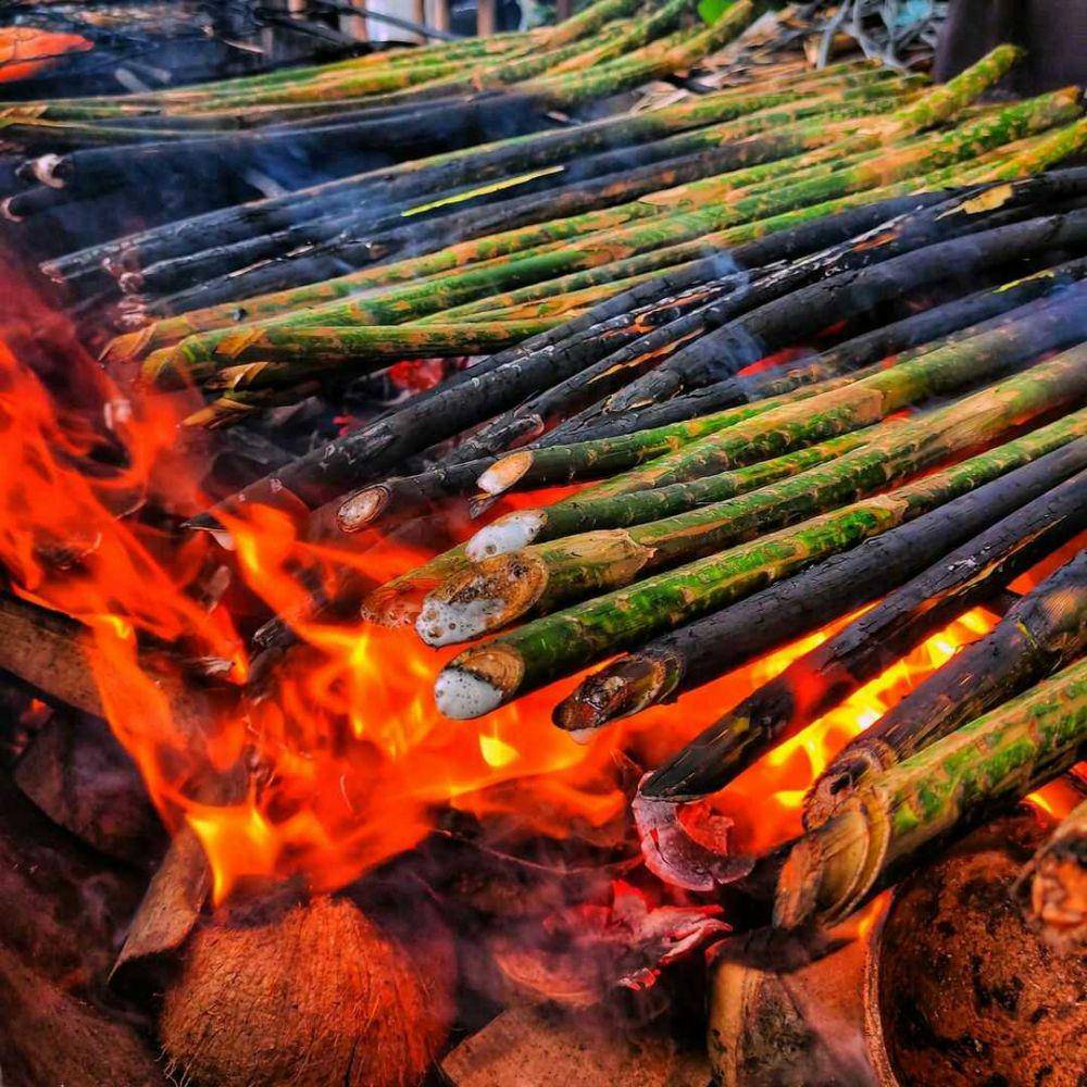 pakkat (instagram.com/ucokmf)