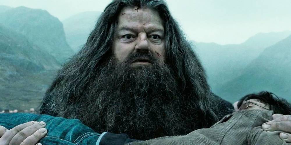 dok. Warner Bros/Harry Potter
