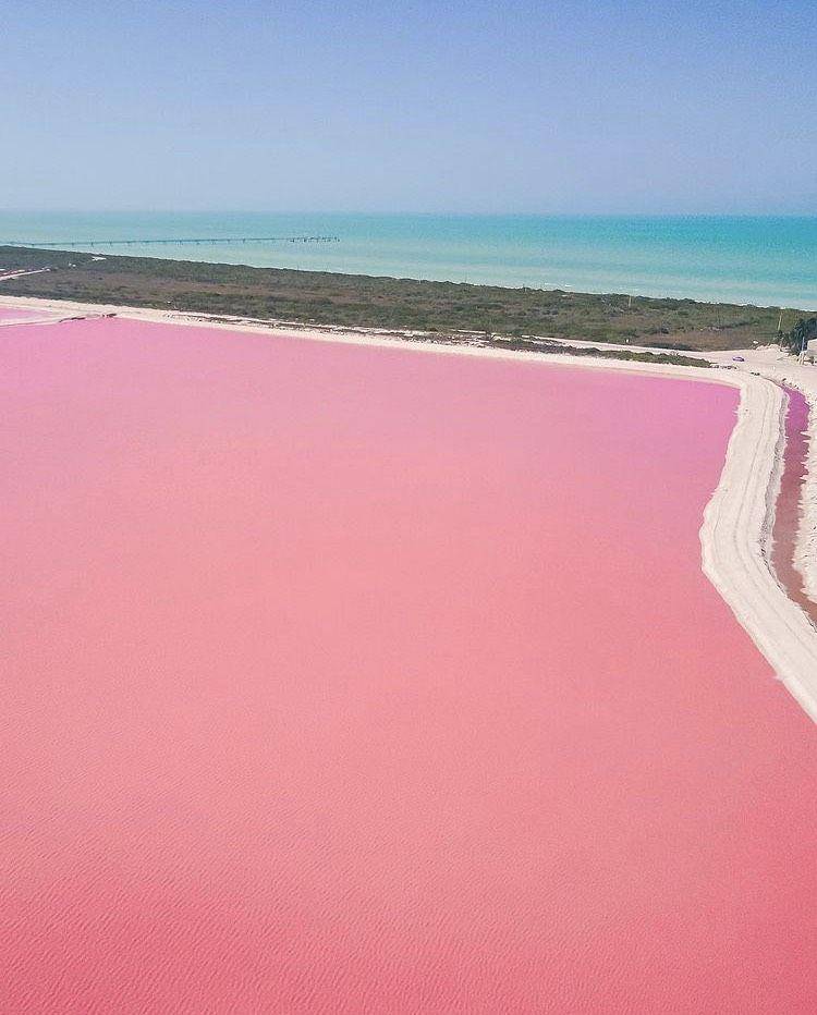Laguna Las Coloradas (instagram.com/travelmehappy)