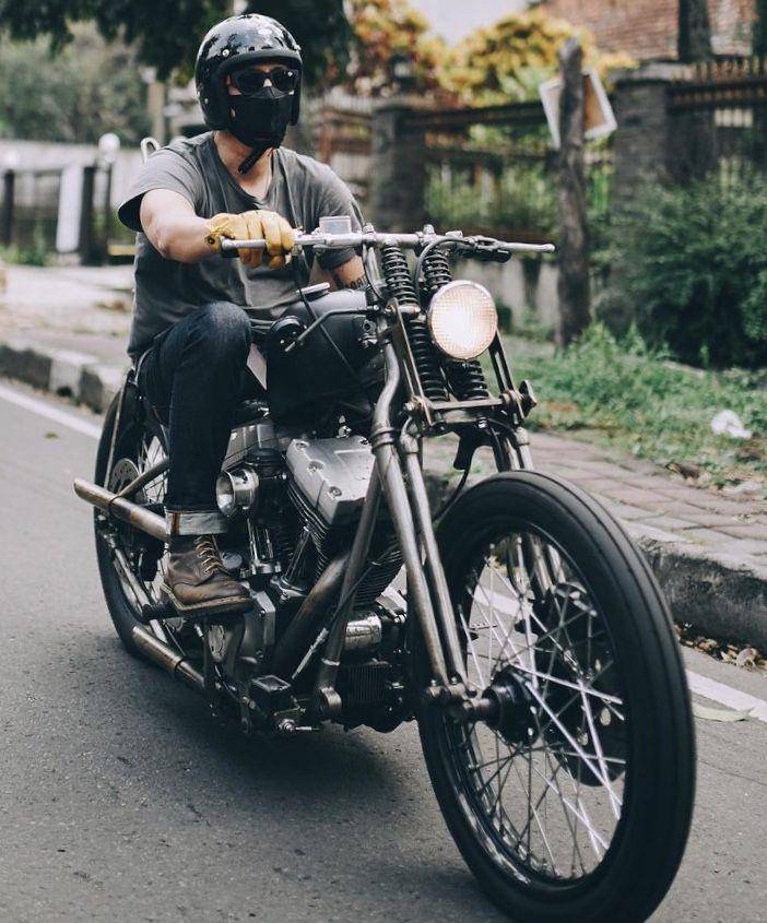Vincent (Instagram.com/vincentrompies)