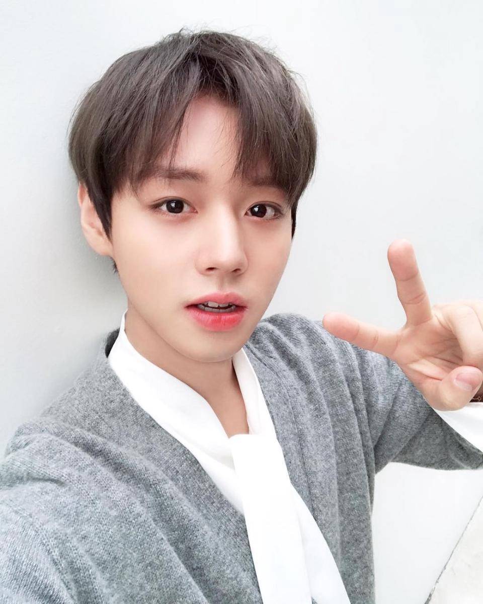 Park Ji Hoon ( instagram.com/0529.jihoon.ig/ )