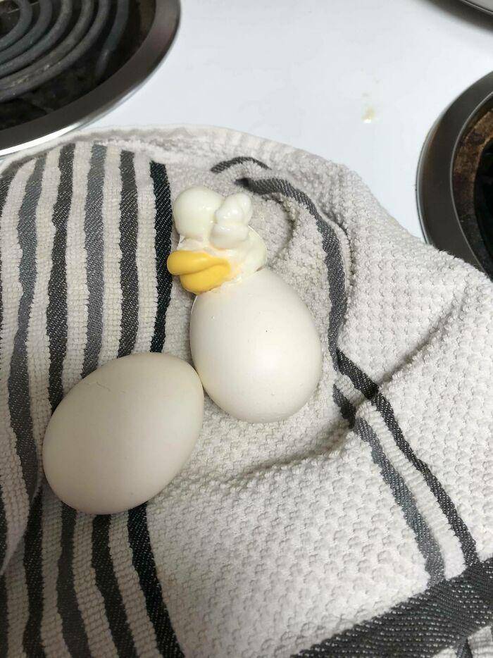 insiden lucu ketika memasak (reddit.com/The_Bigg_D)