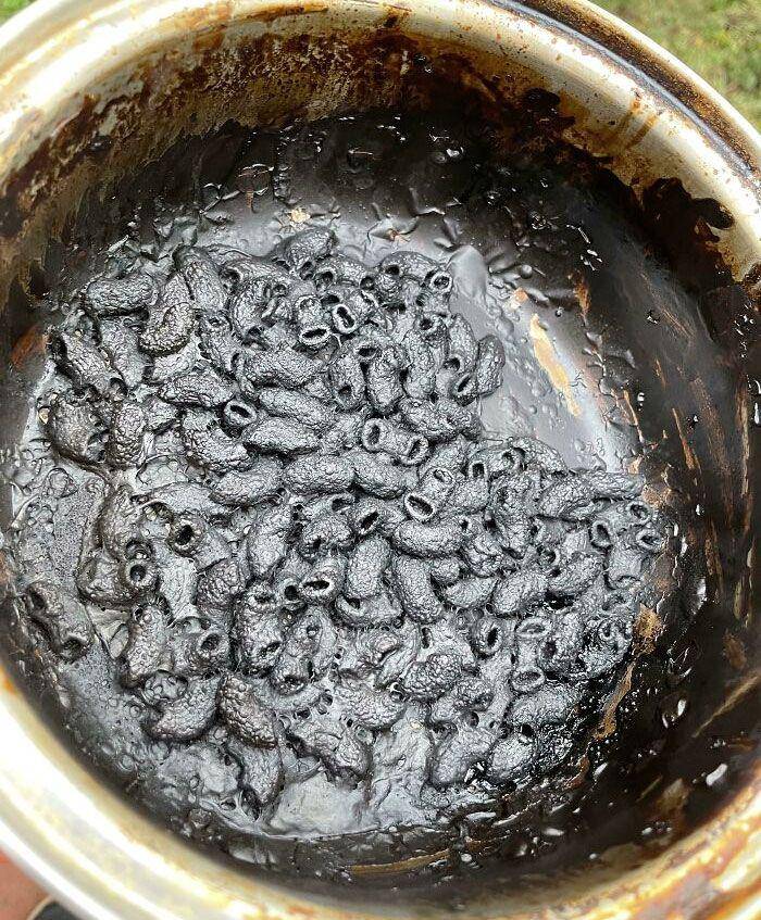 insiden insiden lucu ketika memasak (reddit.com/joeycnotes)