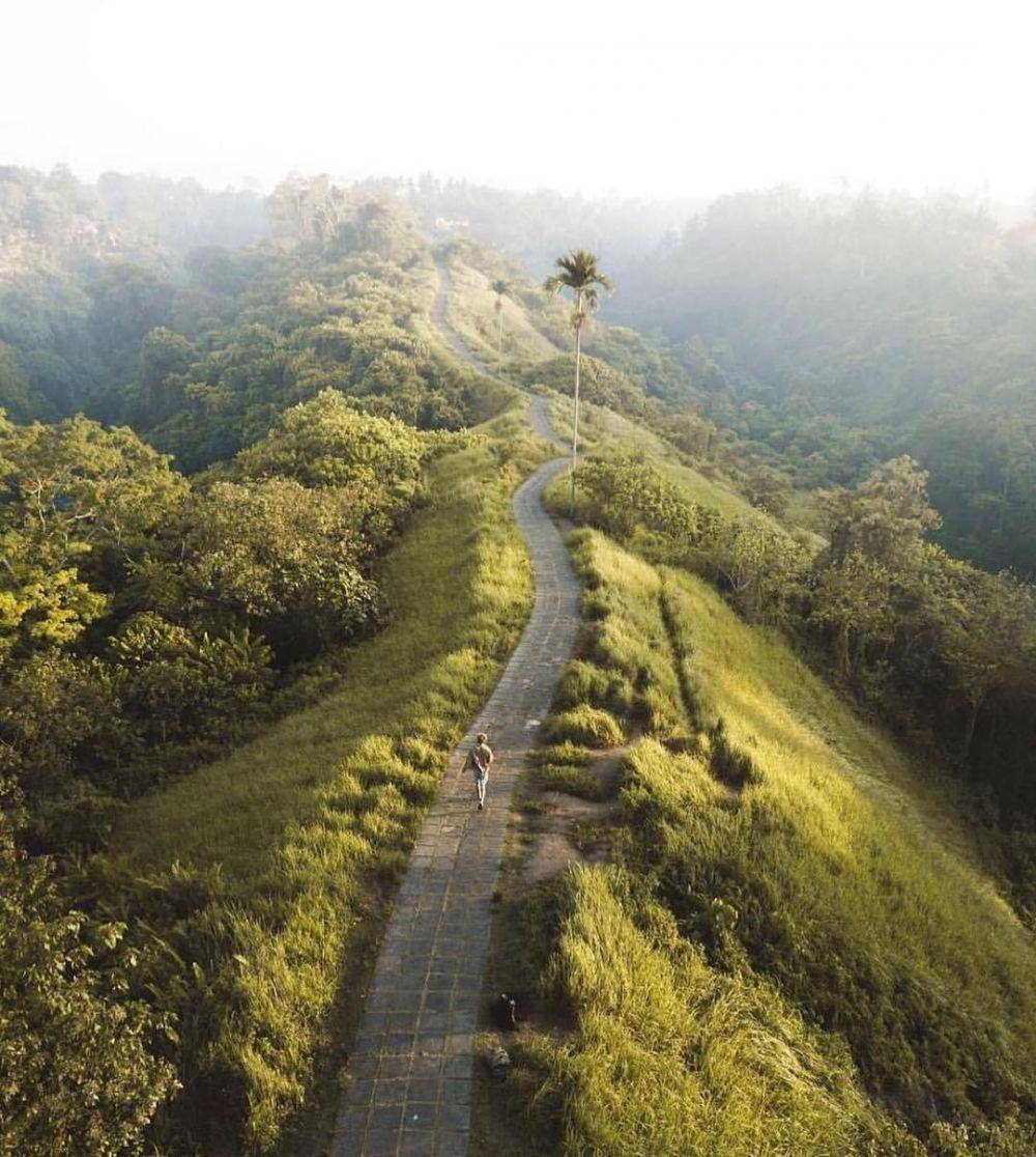 Campuhan Ridge Walk (instagram.com/dansflavor)