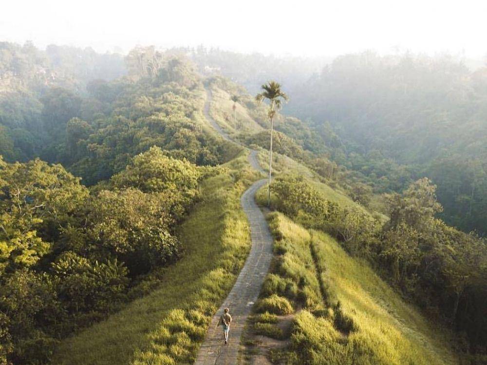 Campuhan Ridge Walk (instagram.com/dansflavor)