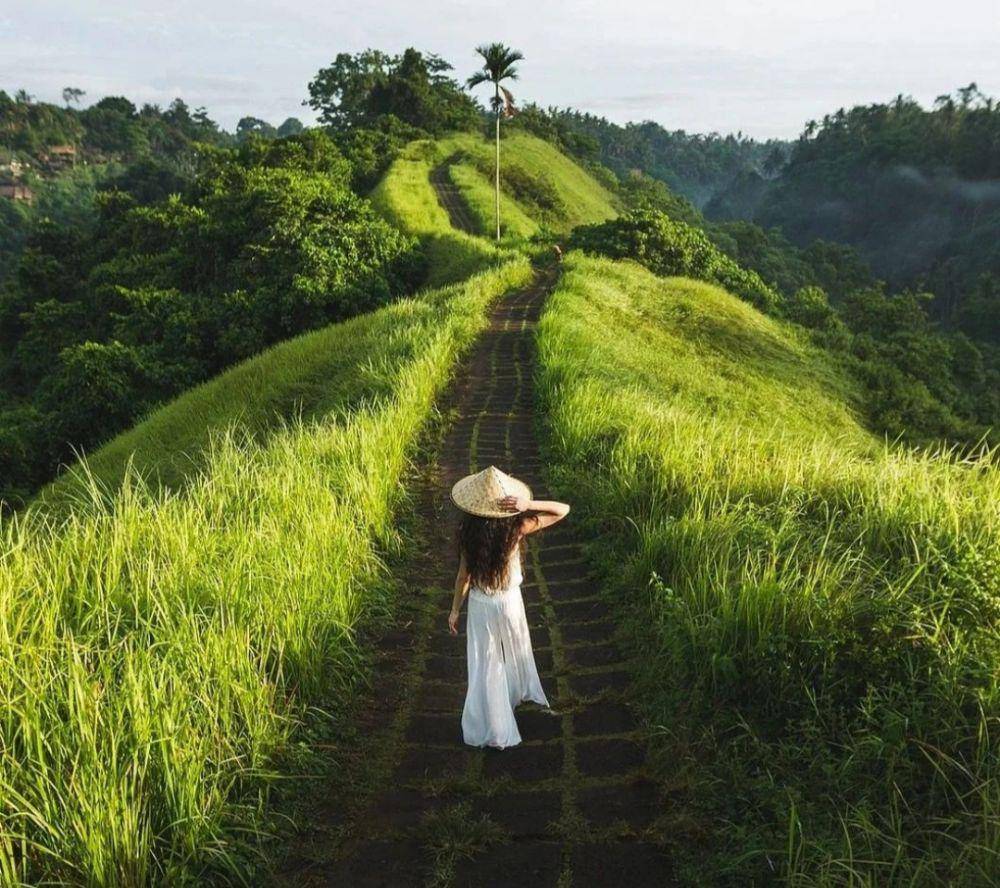 Campuhan Ridge Walk (instagram.com/helotortravel)