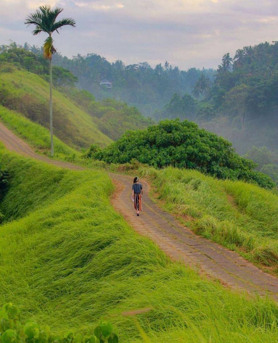 Campuhan Ridge Walk (instagram.com/otw_melali)