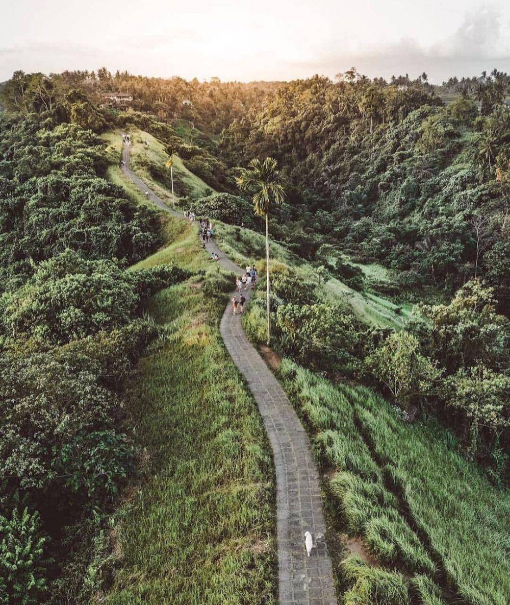 Campuhan Ridge Walk (instagram.com/seb__horn)