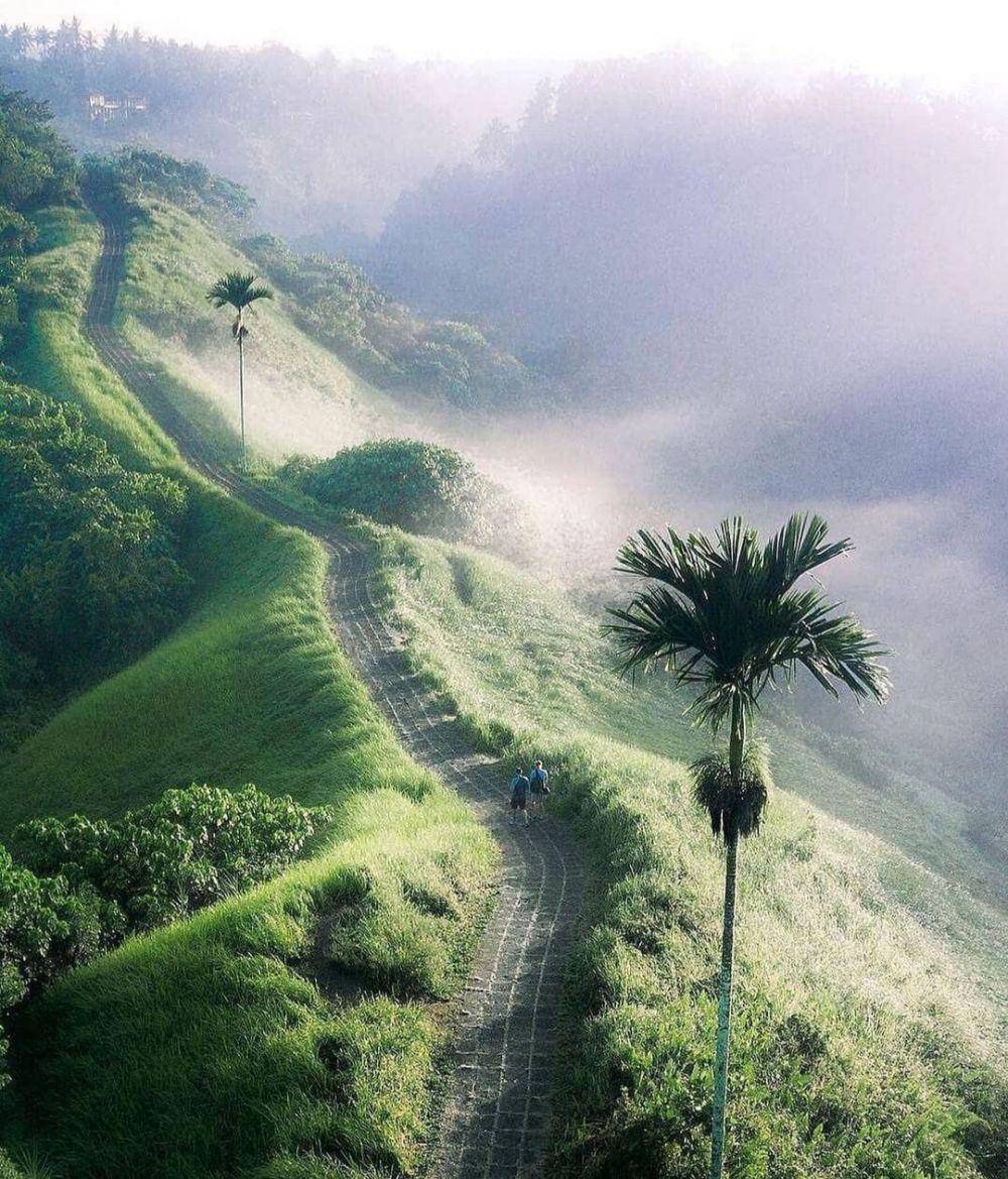 Campuhan Ridge Walk (instagram.com/florian_degreve)