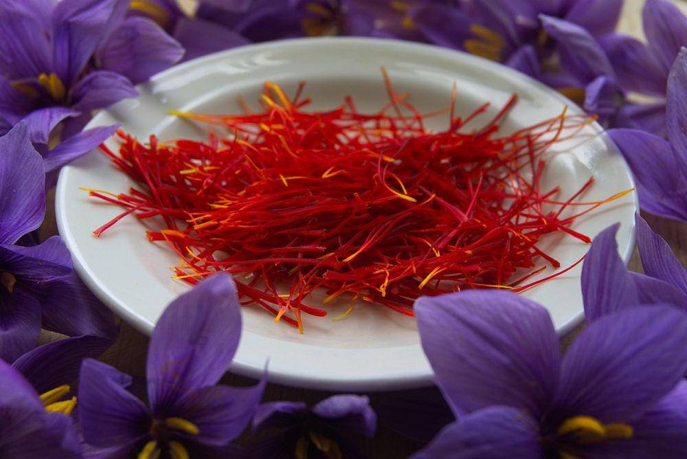 putik tanaman safron (pixabay.com/Xtendo)
