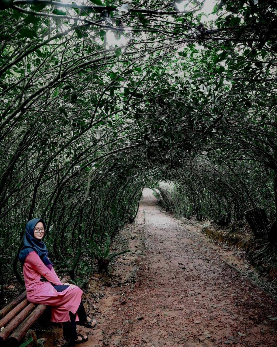 Terowongan kebun teh Wisata Bakukung, Bogor (instagram.com/yunihasbih)