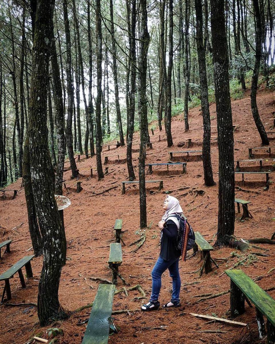 Hutan Pinus Wisata Bakukung, Bogor (instagram.com/bulecatuuur)