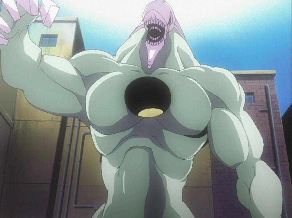Hollow (dok. Pierrot/Bleach)