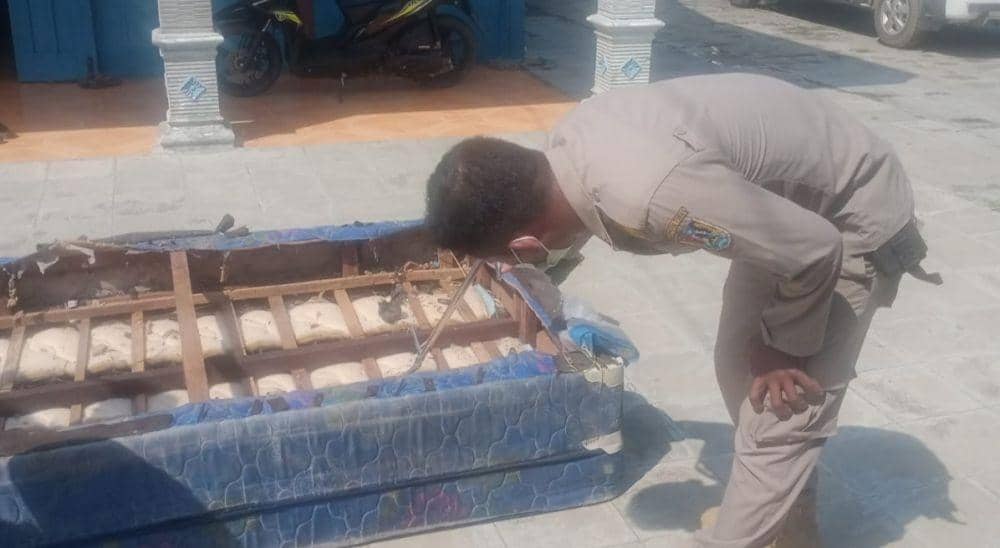 Bikin Merinding, Ular Kobra Sembunyi di Kasur Warga Tuban