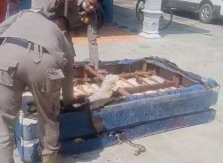 Petugas Damkar Kabupaten Tuban saat mengevakuasi ular kobra yang bersembunyi di kasur warga. Dok Istimewa