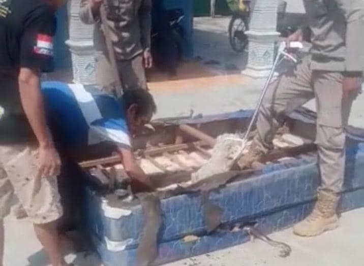 Petugas Damkar Kabupaten Tuban saat mengevakuasi ular kobra yang bersembunyi di kasur warga. Dok Istimewa