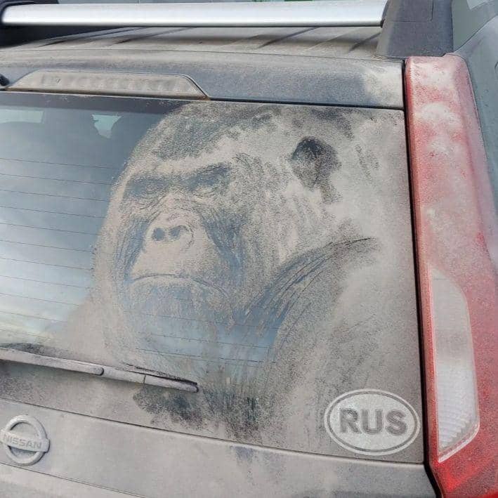 potret lukisan dari debu di mobil kotor (instagram.com/proboynick)