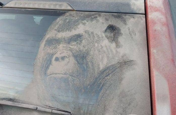 9 Potret Lukisan di Mobil Kotor, dari Debu Menjadi Karya Seni Menarik