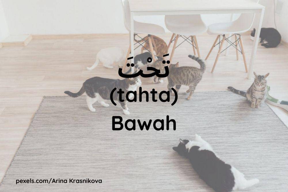 Ilustrasi kucing di bawah meja (Dok.pribadi/Maisix Dela Desmita)