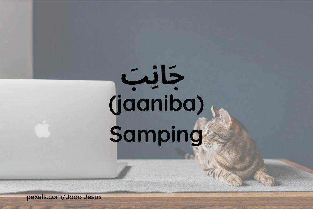 Ilustrasi kucing di samping Macbook (Dok.pribadi/Maisix Dela Desmita)