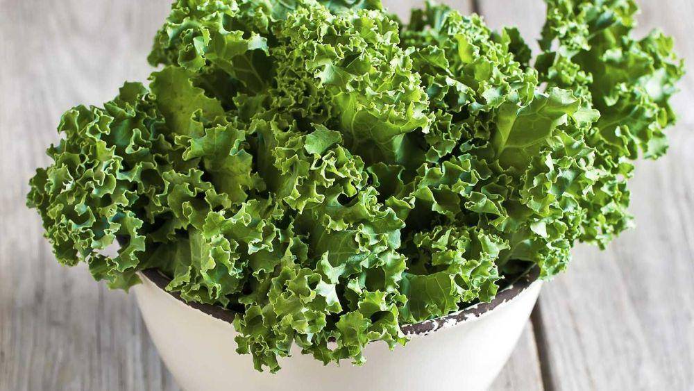 ilustrasi sayur kale (rte.ie)