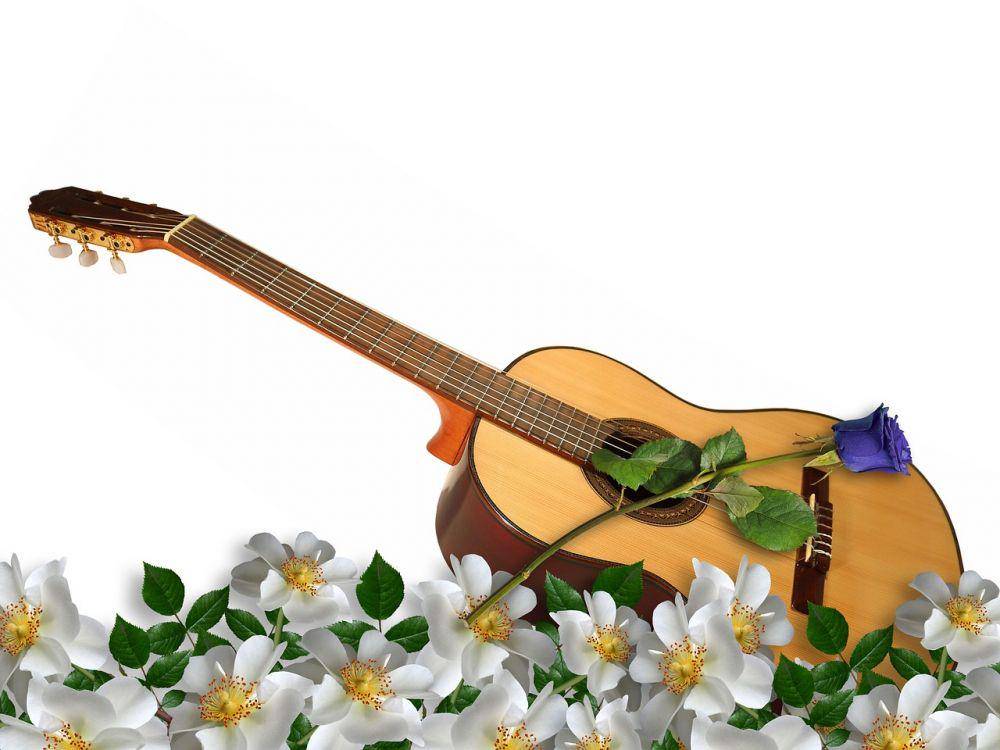 ilustrasi gitar (pixabay.com/susan-lu4esm)
