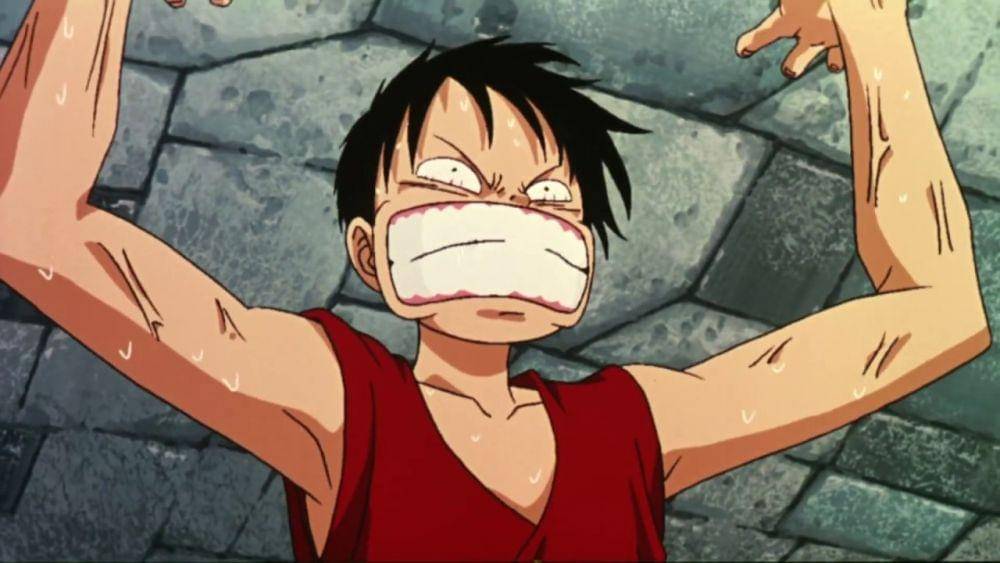 Toei Animation/One Piece