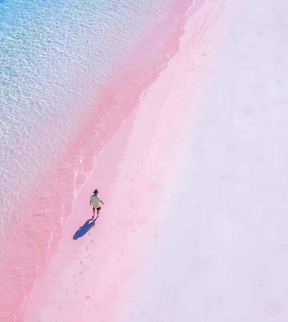 ilustrasi Pantai Pink (instagram.com/indonesiageh)