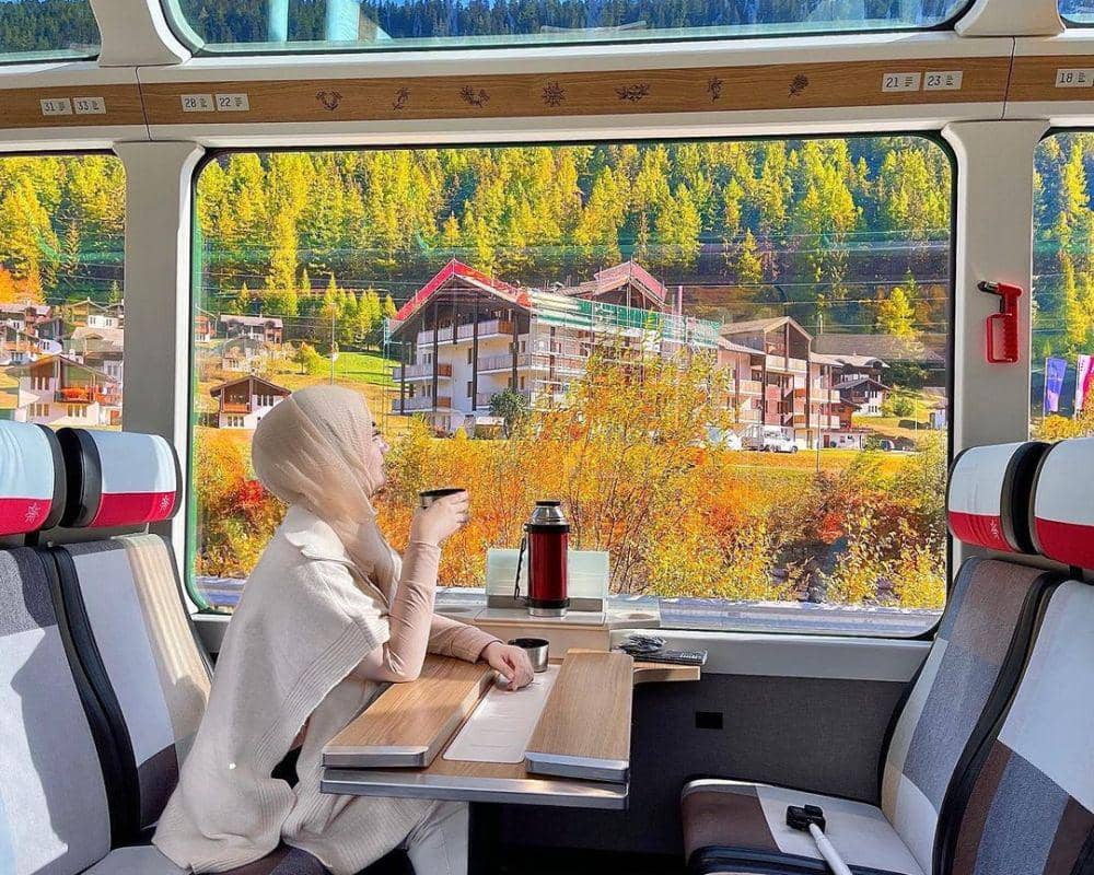 potret panorama Swiss dengan kereta (instagram.com/maleehaley)