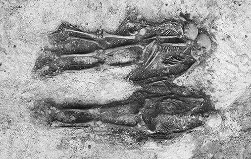 Di era Viking, sejumlah budak dipenggal dan dikubur bersama majikannya. (dok. University of Oslo/Anne Stalsberg, NTNU Vitenskapsmuseet)