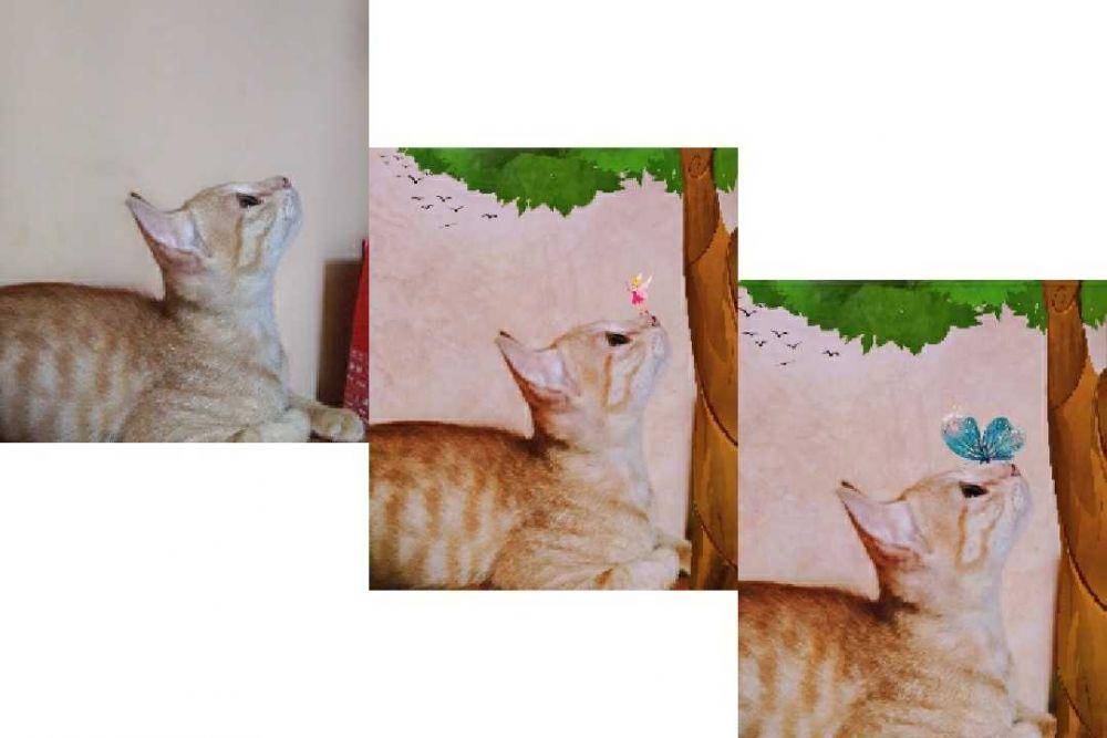 potret kucing (dok. pribadi/El Rui)